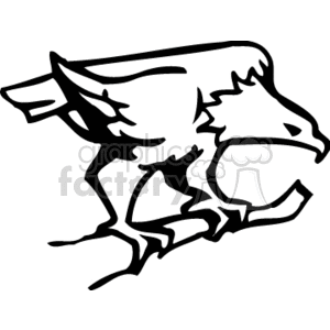 Black and white eagle perched on a branch clipart. Royalty-free image # 130392