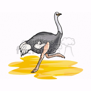 Ostrich running across desert sand clipart. Commercial use image # 130511