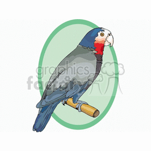 Amazon parrot against a green background clipart.