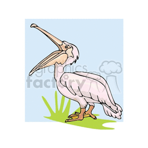 Light pink pelican with its mouth open