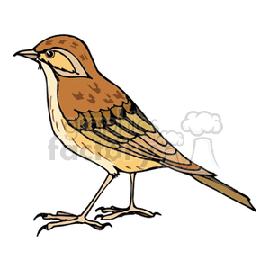 Brown and gold swallow clipart. Royalty-free image # 130664