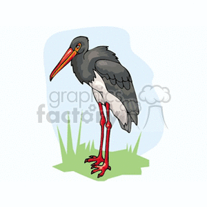 Black crested stork standing in green grass clipart. Royalty-free image # 130669