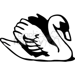 Black and white swan swimming with wings up clipart.