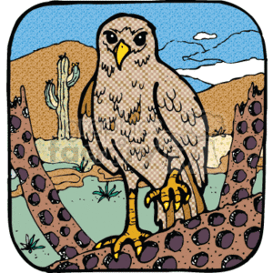 The clipart image shows a cartoon hawk with a country-style design, perched on top of a cactus in a desert landscape.
