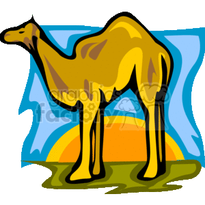 dromedary camel with the sun rising in the background clipart. Royalty-free image # 130820