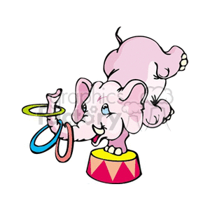Pink elephant doing circus tricks