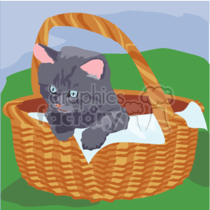 clipart - Gray kitten climbing out of a picnic basket.