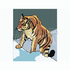 Siberian tiger climbing a snowy cliff clipart. Royalty-free image # 131092