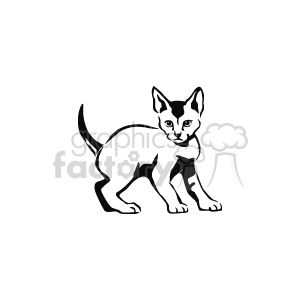 Black and white playful kitten  clipart. Commercial use image # 131175