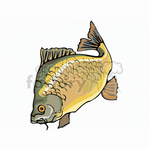 fish253 clipart. Commercial use image # 132512
