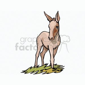 donkey donkeys mule mules jackass horse horses farm farms animals Clip+Art Animals Horse colt