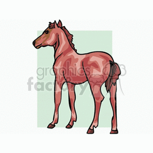 colt clipart. Commercial use image # 132768