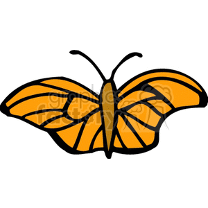   butterfly butterflies moth moths  BAI0105.gif Clip Art Animals Insects 