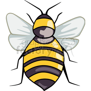 bee bees bumble  BAI0115.gif Clip Art Animals Insects 