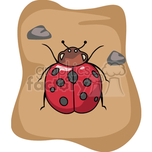 large ladybug clipart. Commercial use image # 132902