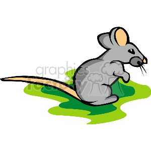 The clipart image depicts a stylized gray mouse sitting on a green surface, with a simple outline indicating its body, a pink inner ear, a long tail, and a small eye and whiskers.