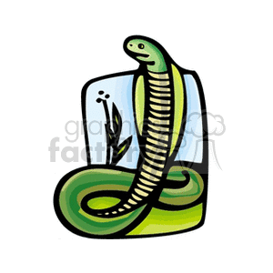cobra clipart. Commercial use image # 133509
