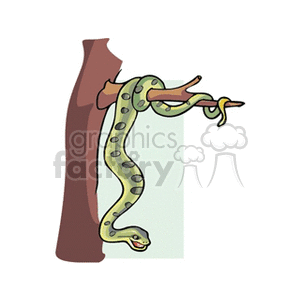 snake hanging on a branch clipart. Commercial use image # 133527