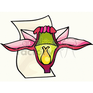 Cartoon flower parts  clipart. Royalty-free image # 138688