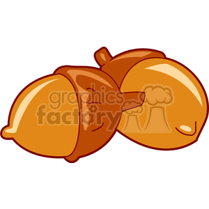 Two acorns clipart. Royalty-free image # 140330