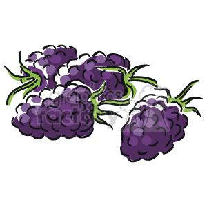 Bunch of purple grapes. clipart. Commercial use image # 141241