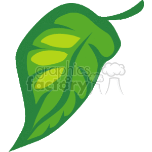 Green leaf clipart. Royalty-free image # 150756