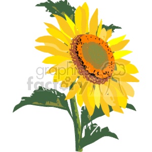 clipart - sunflower.
