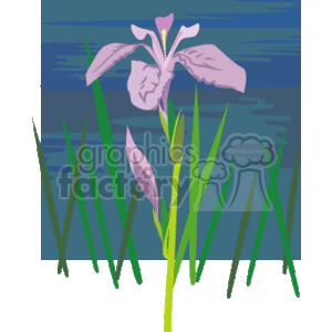 flowers_summer-13 clipart. Royalty-free image # 151550