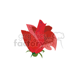 Blooming Rose bud clipart.