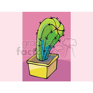   plant plants desert cactus cactuses  cactus171312.gif Clip Art Nature Plants 