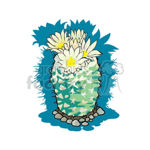 cactus61412 clipart. Royalty-free image # 151955