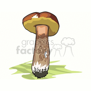 mushroom22