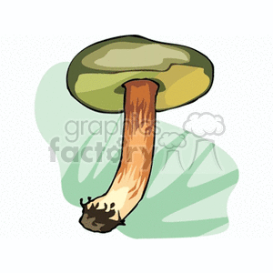 mushroom27