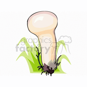 mushroom42