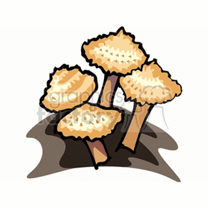 mushroom48