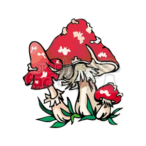 mushroom5 clipart. Royalty-free image # 152185