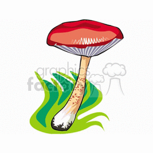 mushroom68 clipart. Commercial use image # 152205