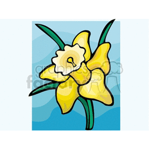 narcissus1212 clipart. Royalty-free image # 152231