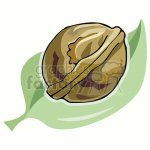 walnut clipart. Commercial use image # 152239
