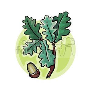 oakbranch1212 clipart. Commercial use image # 152245
