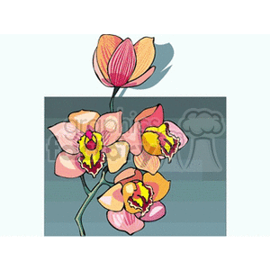 orchid15 clipart. Commercial use image # 152253