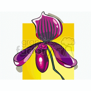 orchid4 animation. Commercial use animation # 152263