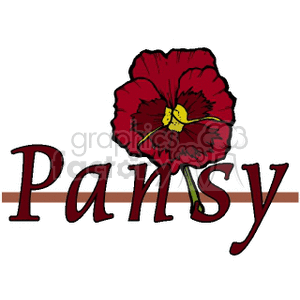 pansy clipart. Royalty-free image # 152277