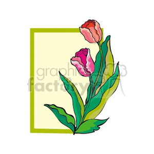 tulip21312 clipart. Commercial use image # 152376