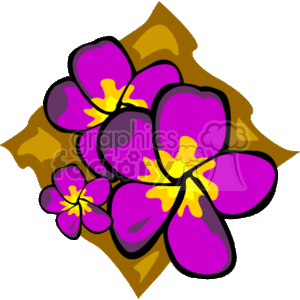 clipart - purple and yellow Hibiscus tropical flower.