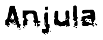 The image contains the word Anjula in a stylized font with a static looking effect at the bottom of the words