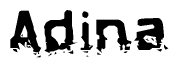The image contains the word Adina in a stylized font with a static looking effect at the bottom of the words