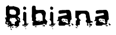This nametag says Bibiana, and has a static looking effect at the bottom of the words. The words are in a stylized font.