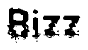 This nametag says Bizz, and has a static looking effect at the bottom of the words. The words are in a stylized font.