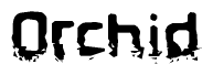 The image contains the word Orchid in a stylized font with a static looking effect at the bottom of the words